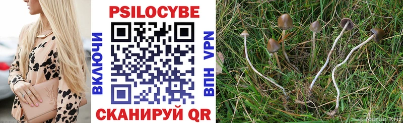 Галлюциногенные грибы Psilocybine cubensis  Адыгейск 